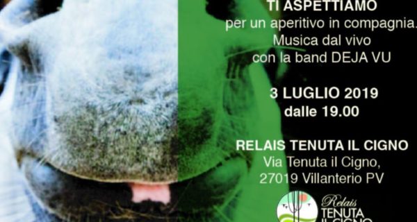 5DA62168-0106-4835-B6E5-79F9113C6AC9-600×320